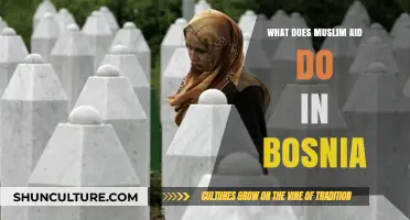 Muslim Aid's Impact: Humanitarian Efforts and Support in Bosnia Revealed