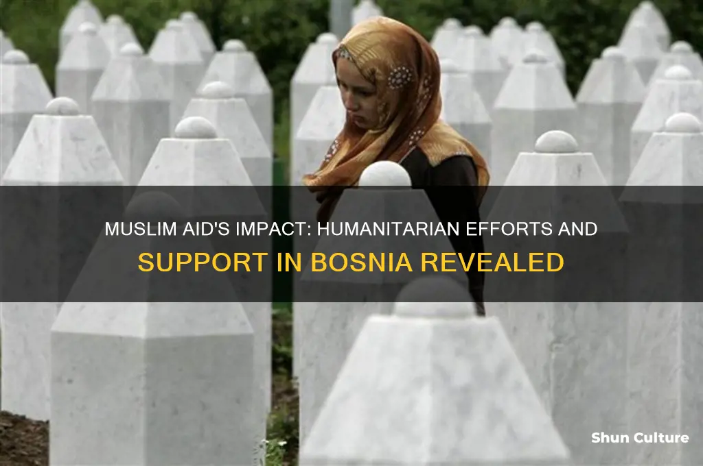 what does muslim aid do in bosnia