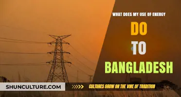 How Your Energy Consumption Impacts Bangladesh's Environment and Economy