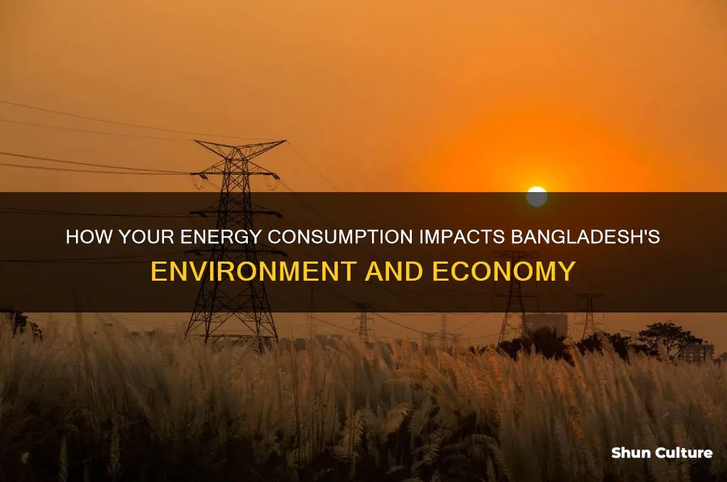what does my use of energy do to bangladesh