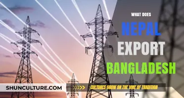 Nepal's Key Exports to Bangladesh: Trade Insights and Economic Ties