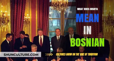 Understanding Nishta: Exploring the Meaning and Cultural Significance in Bosnian Language
