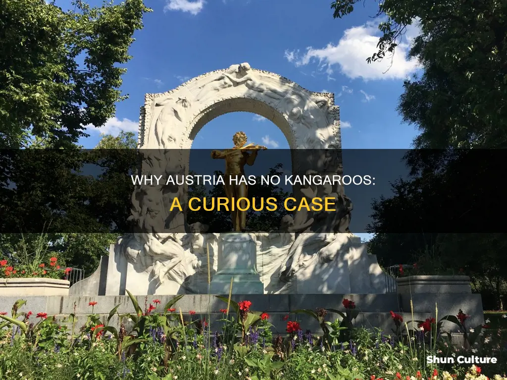 what does no kangaroos in austria mean