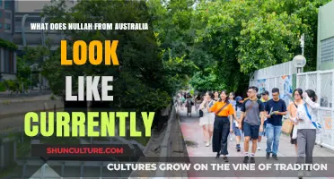 Nullah's Current State: An Australian Update