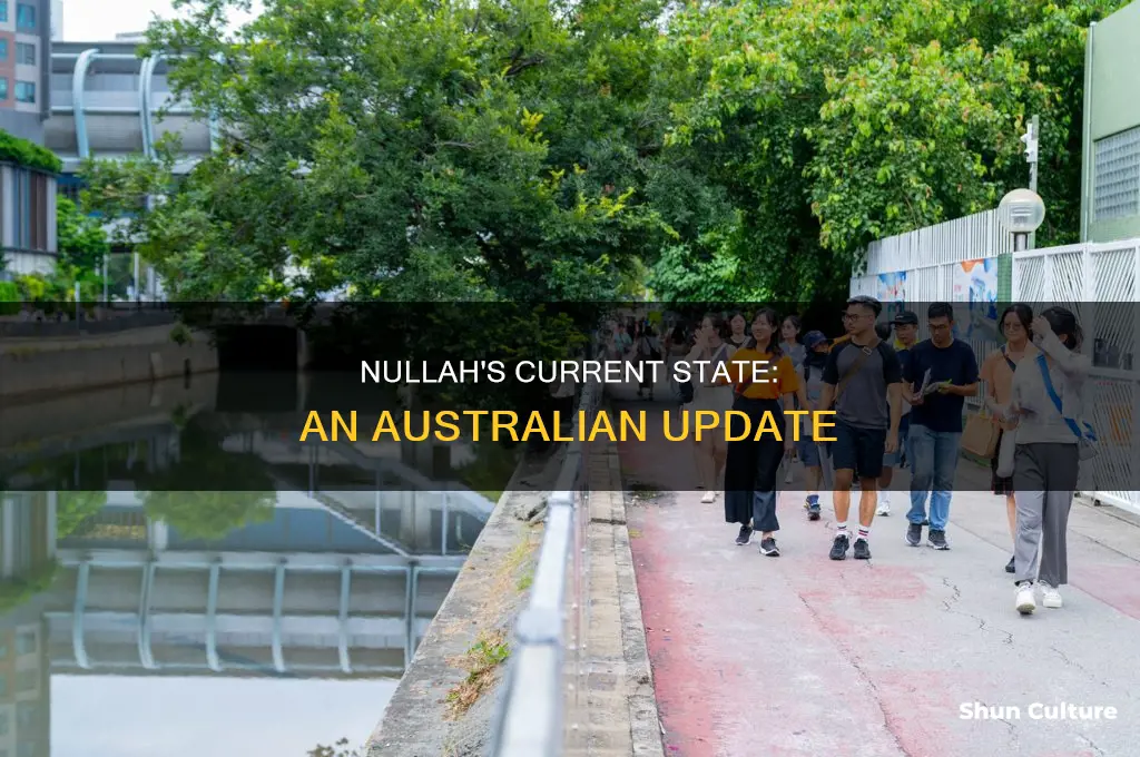 what does nullah from australia look like currently