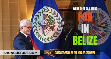 Belize's OAS: What Does It Stand For?