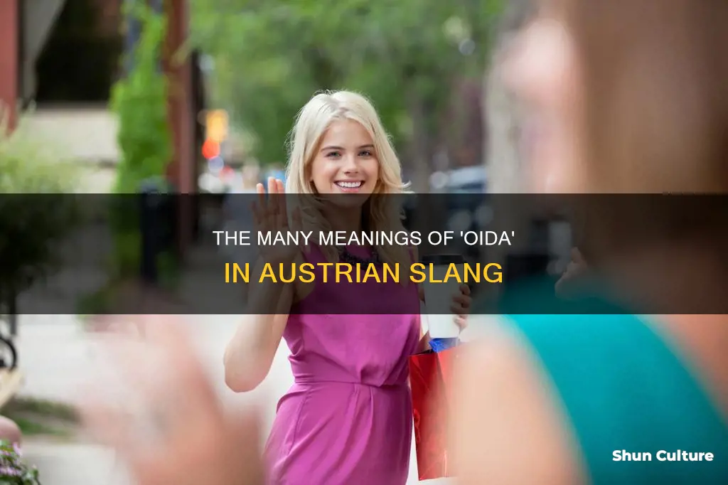 what does oida mean in austria