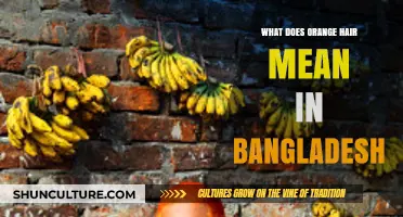 Unveiling the Cultural Significance of Orange Hair in Bangladesh