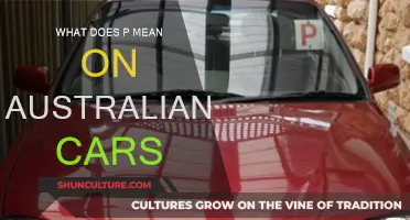 Understanding the 'P' Plate: Australian Driving Laws Explained