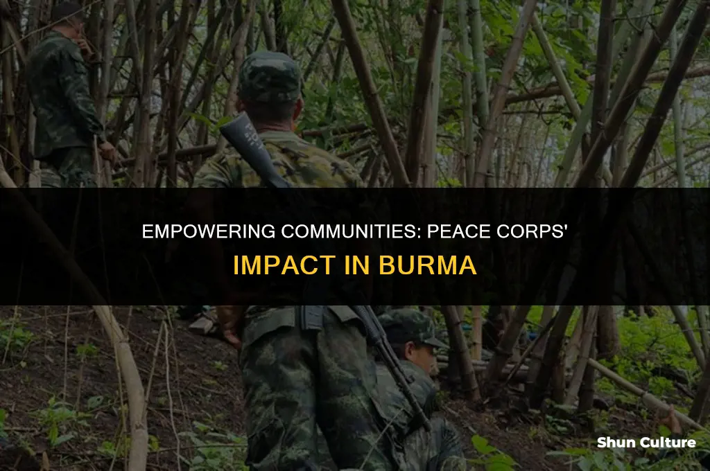 what does peace corps do I burma