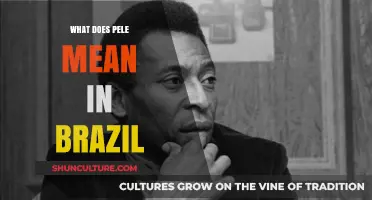 Understanding Pelé: The Meaning and Legacy of Brazil's Football Icon