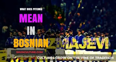 Understanding the Meaning and Usage of 'Pitchka' in Bosnian Culture