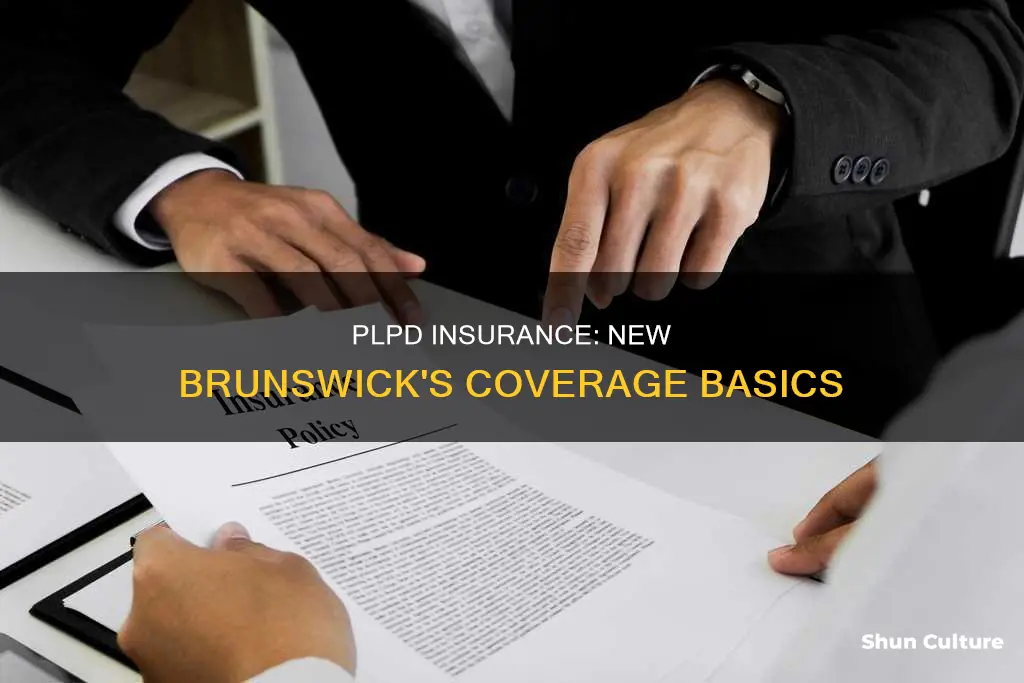 what does plpd cover in new brunswick