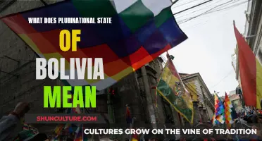 Bolivia's Plurinational State: A Diverse Democracy Explained