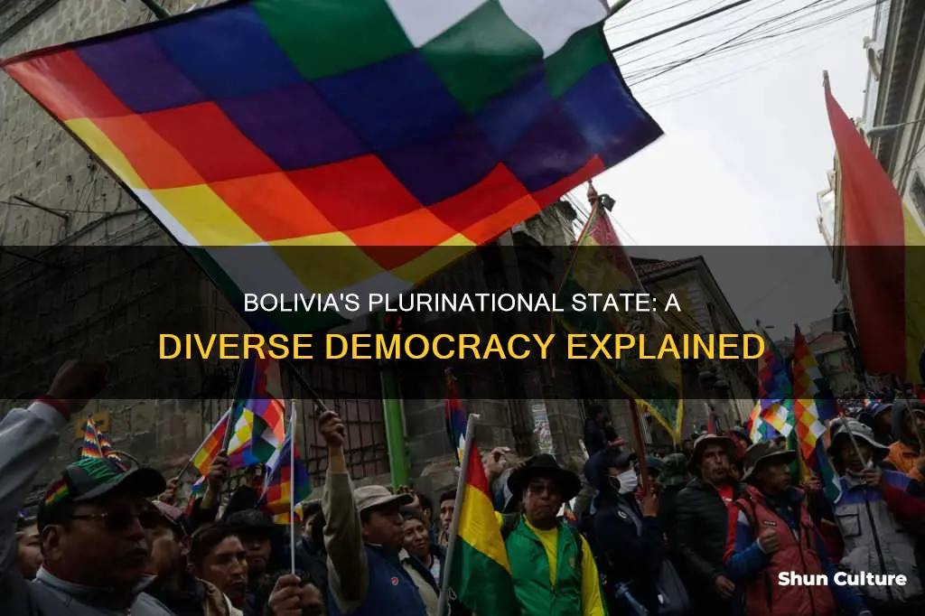 what does plurinational state of bolivia mean