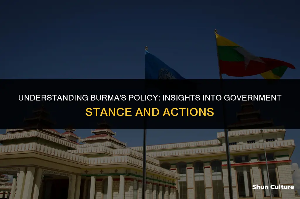 what does policy in burma say about the government