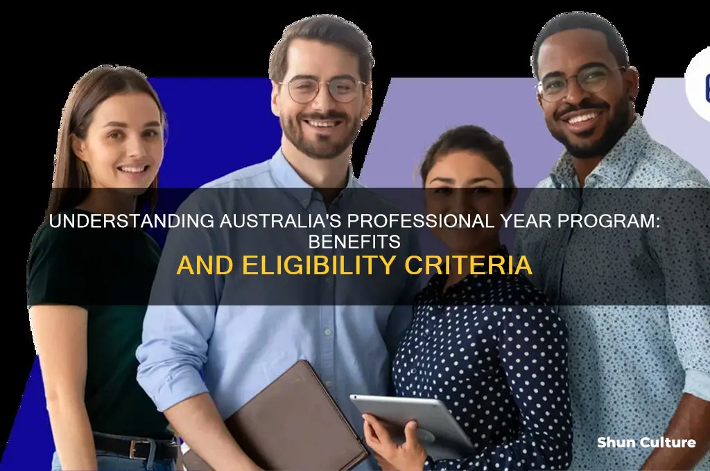 what does professional year in australia mean