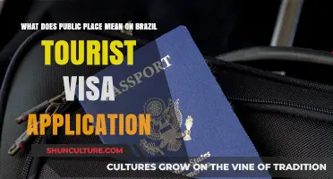 Understanding 'Public Place' on Brazil Tourist Visa Applications: A Guide