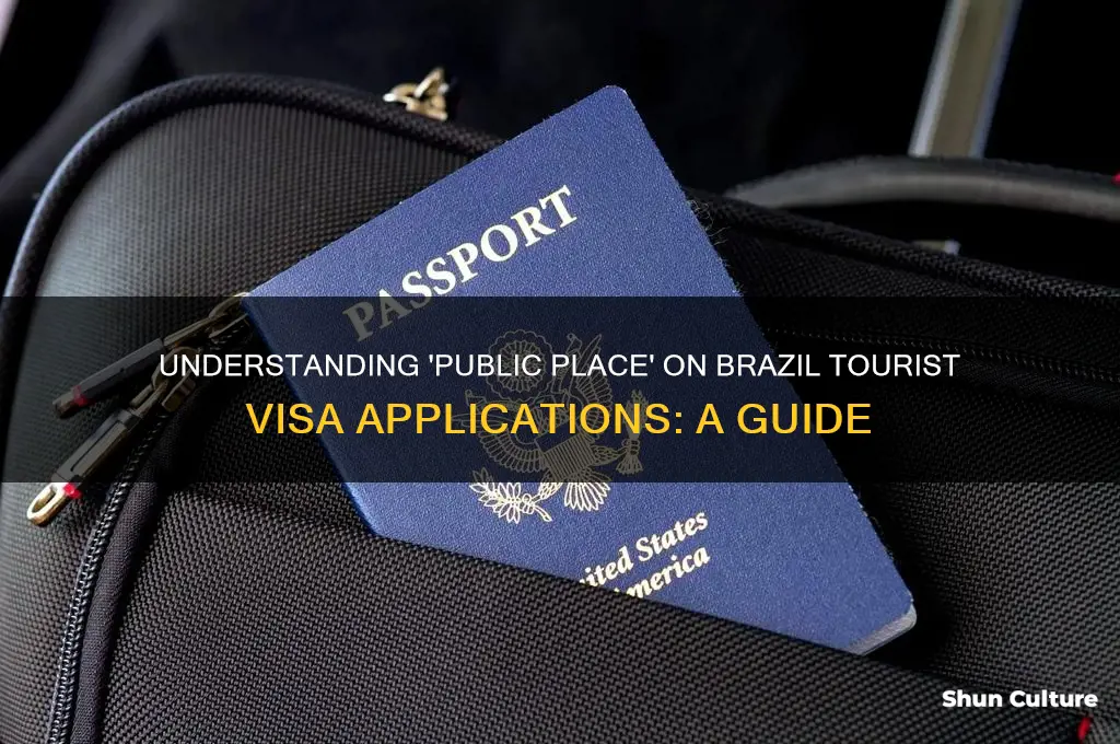 what does public place mean on brazil tourist visa application
