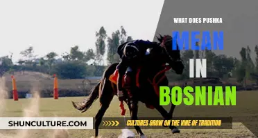 Understanding the Meaning of Pushka in Bosnian Language and Culture