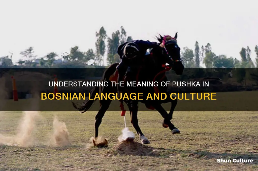 what does pushka mean in bosnian