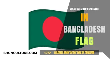 The Symbolism of Red in Bangladesh's National Flag Explained