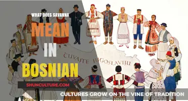 Understanding the Meaning of Savanna in Bosnian Language and Culture