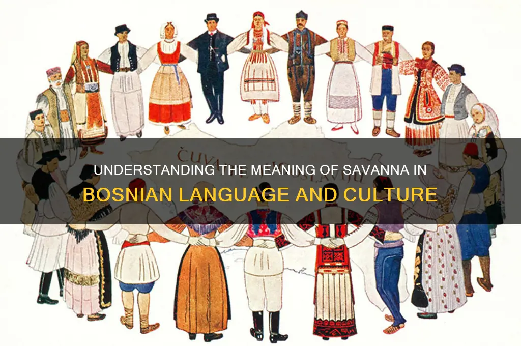 what does savanna mean in bosnian