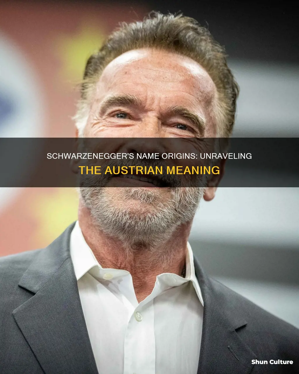 what does schwarzenegger mean in austrian