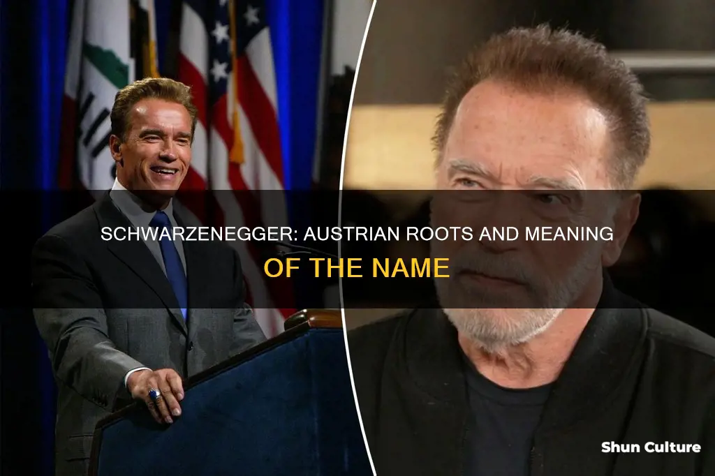 what does schwarzenegger mean in austrian