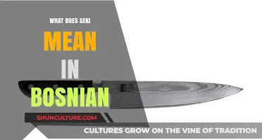 Understanding the Meaning of Seki in Bosnian Language and Culture