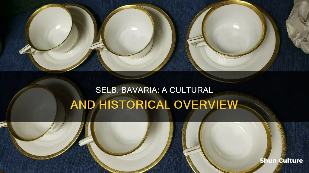 what does selb bavaria mean