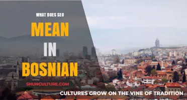 Razumijevanje SEO-a: Šta znači i kako funkcioniše u bosanskom kontekstu?
