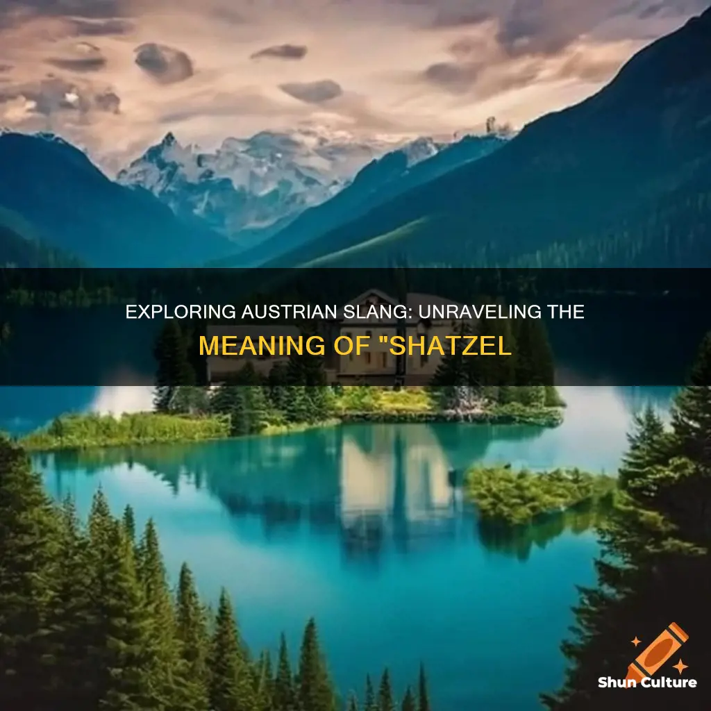 what does shatzel mean in austrian