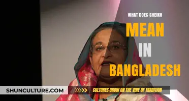 Understanding the Cultural Significance of Sheikh in Bangladesh