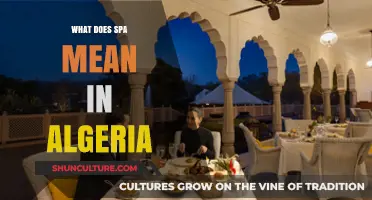 Understanding the Meaning of SPA in Algeria: A Comprehensive Guide