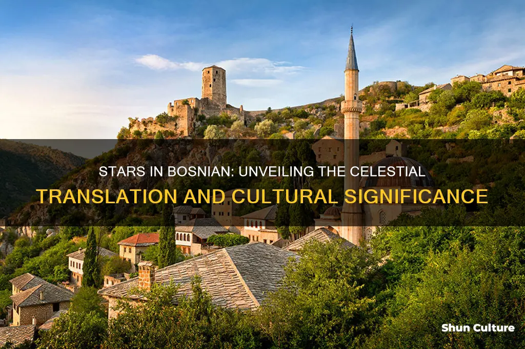 what does stars translate to in bosnian