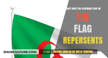 The Algerian Flag's Star: Symbolism, History, and National Identity Explained