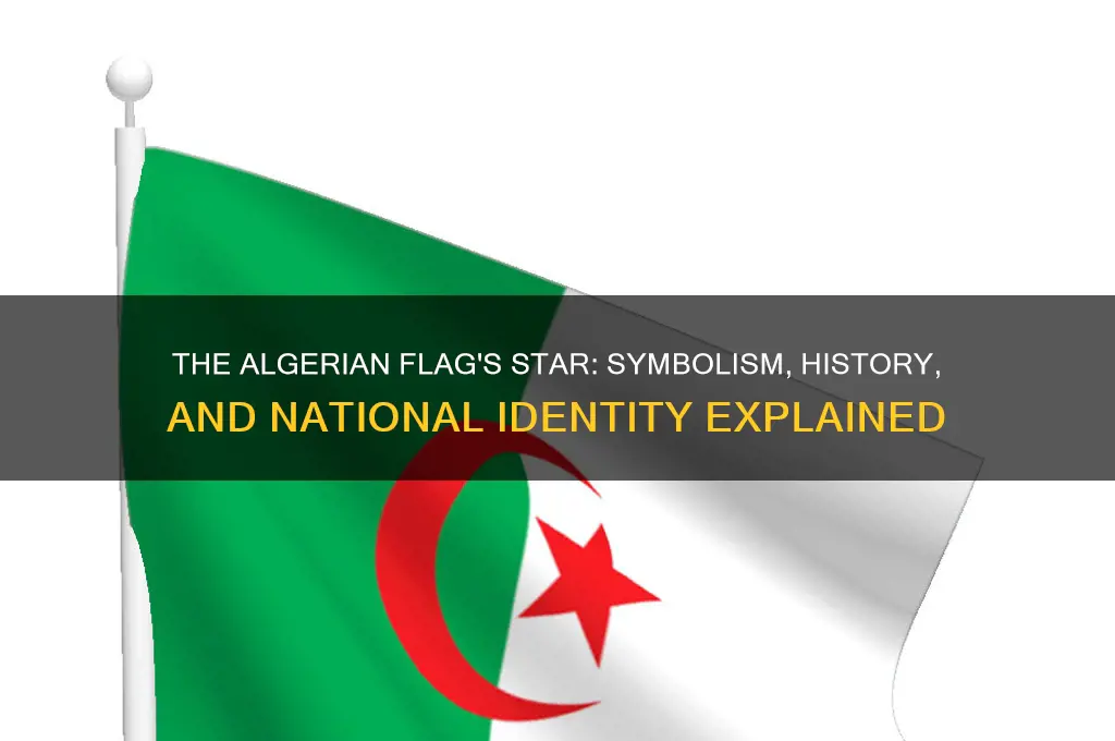 what does the algerian star on the flag repersents