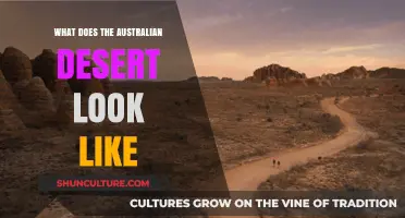 Exploring the Unique Australian Desert Landscape