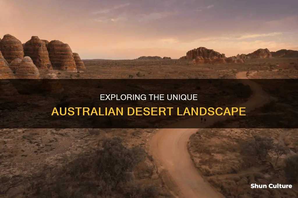 what does the australian desert look like