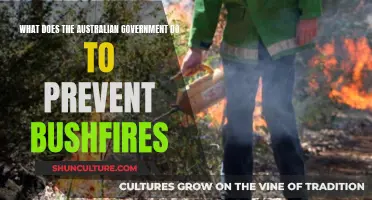 Australian Government's Initiatives to Combat Bushfires