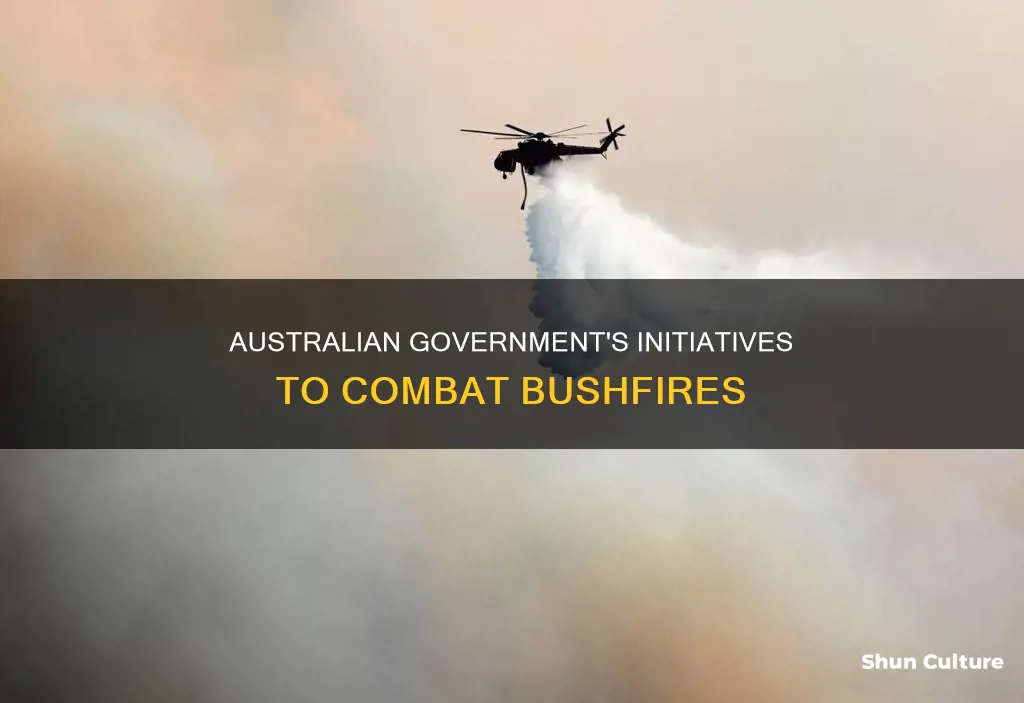 what does the australian government do to prevent bushfires