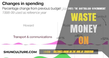 Australian Government's Wasteful Spending: Where Does the Money Go?