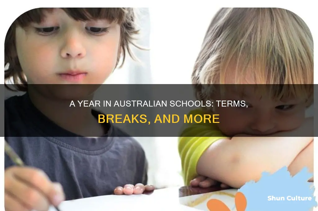 what does the australian school year look like