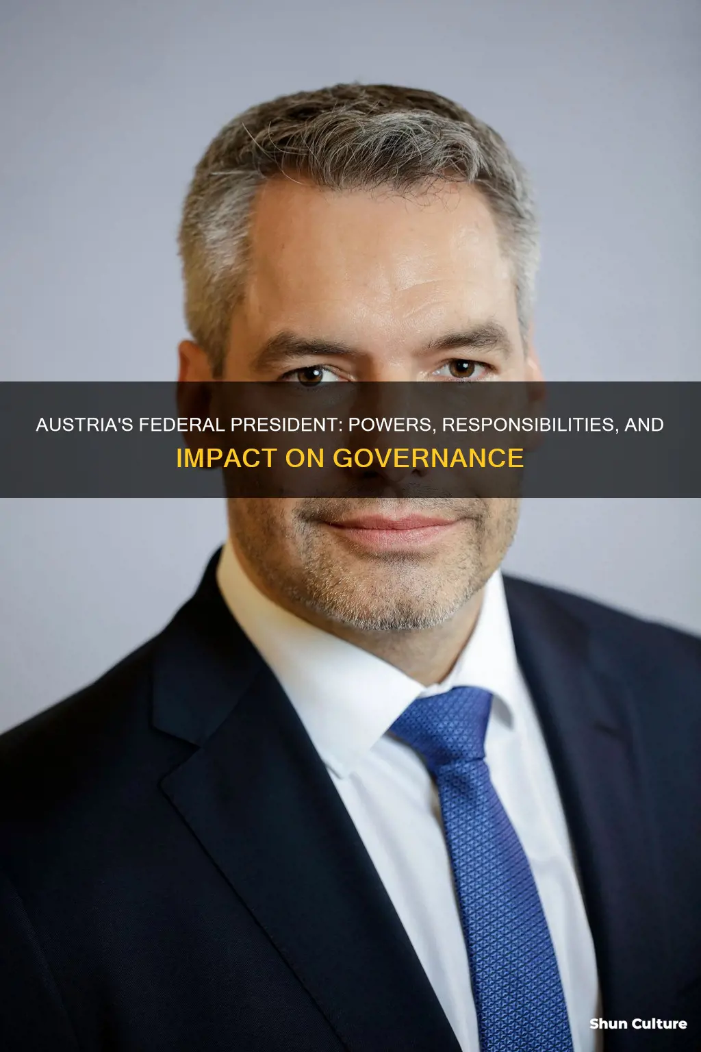 what does the austria federal president govern