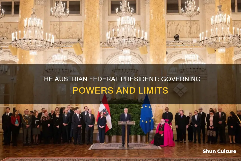 what does the austria federal president govern