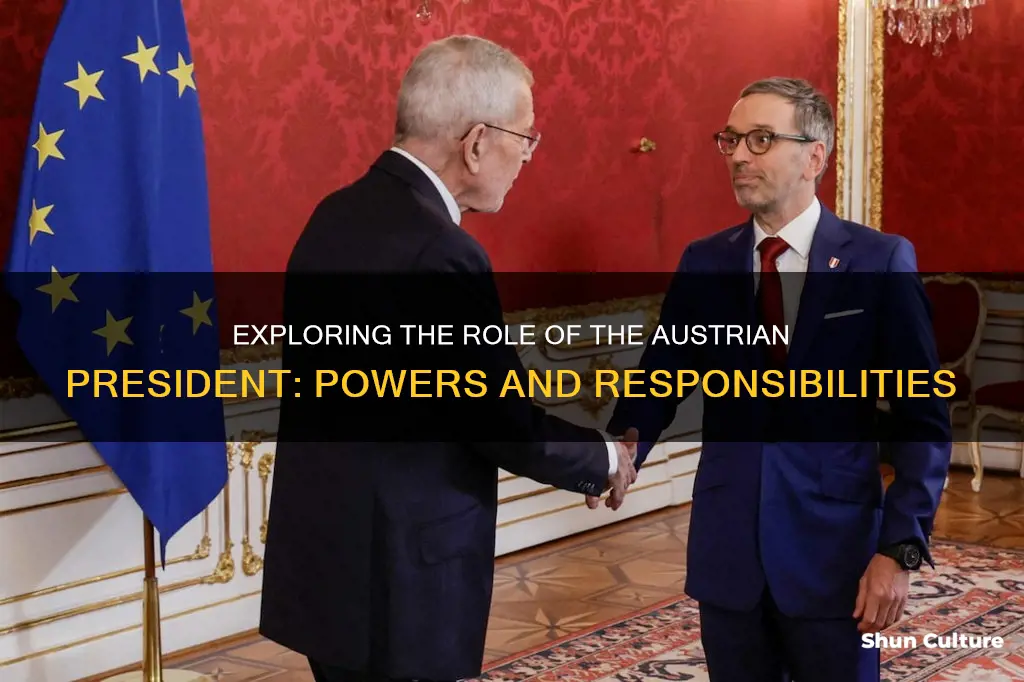 what does the austria president do