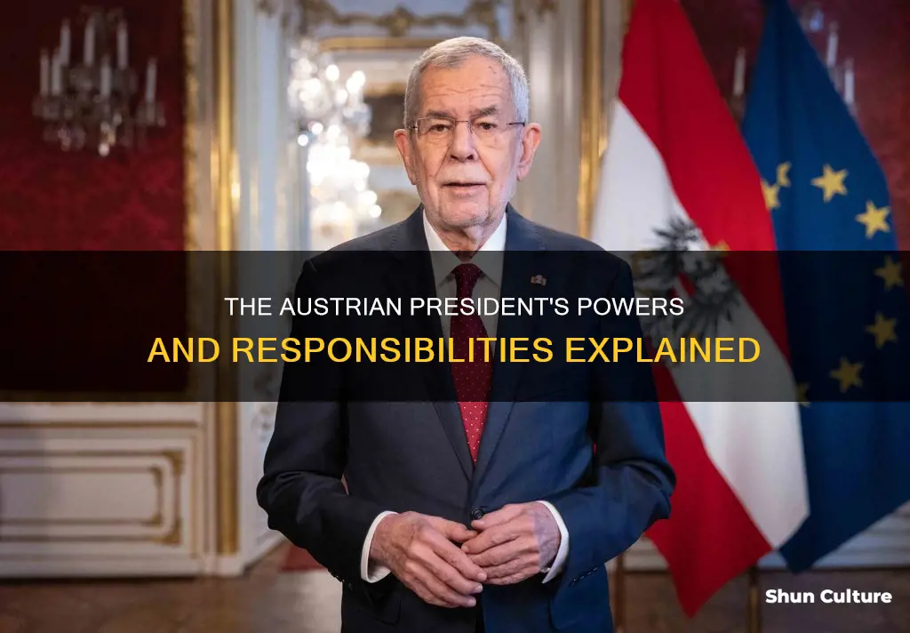 what does the austria president do