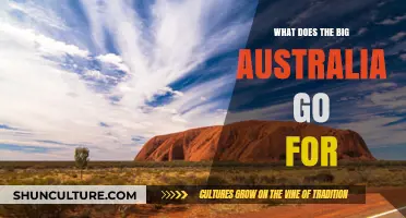 Exploring Big Australia: Trends, Preferences, and What Drives the Nation
